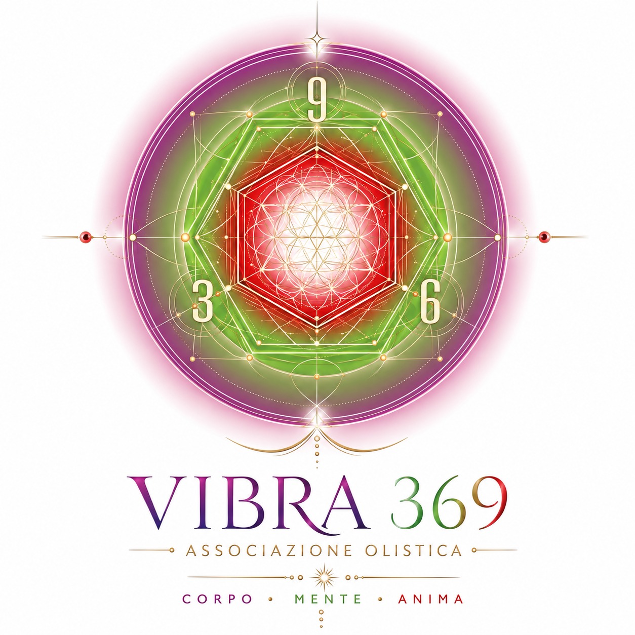 Vibra369